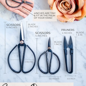 Scissors & Pruners Set Houseplants and Gardening A must-have plant tool and accessory for plant lovers A perfect plant gift 3 tools image 5