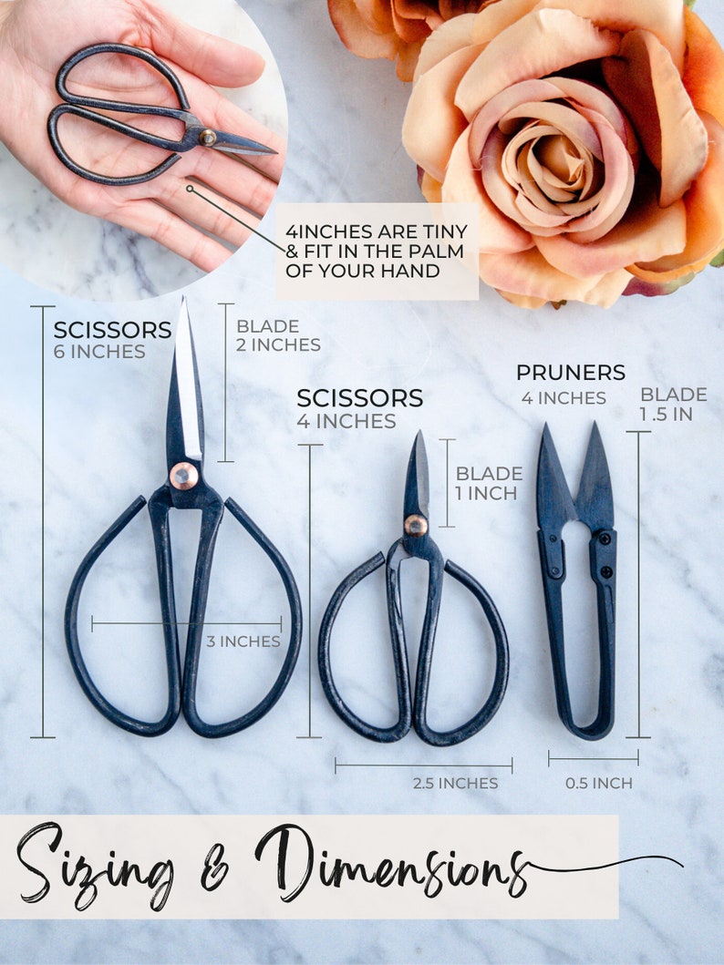 Scissors & Pruners Set Houseplants and Gardening A must-have plant tool and accessory for plant lovers A perfect plant gift 3 tools image 5