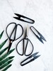 Scissors & Pruners Set | For Houseplants and Gardening. A must-have plant tool and accessory for plant owners. | The perfect plant gift.