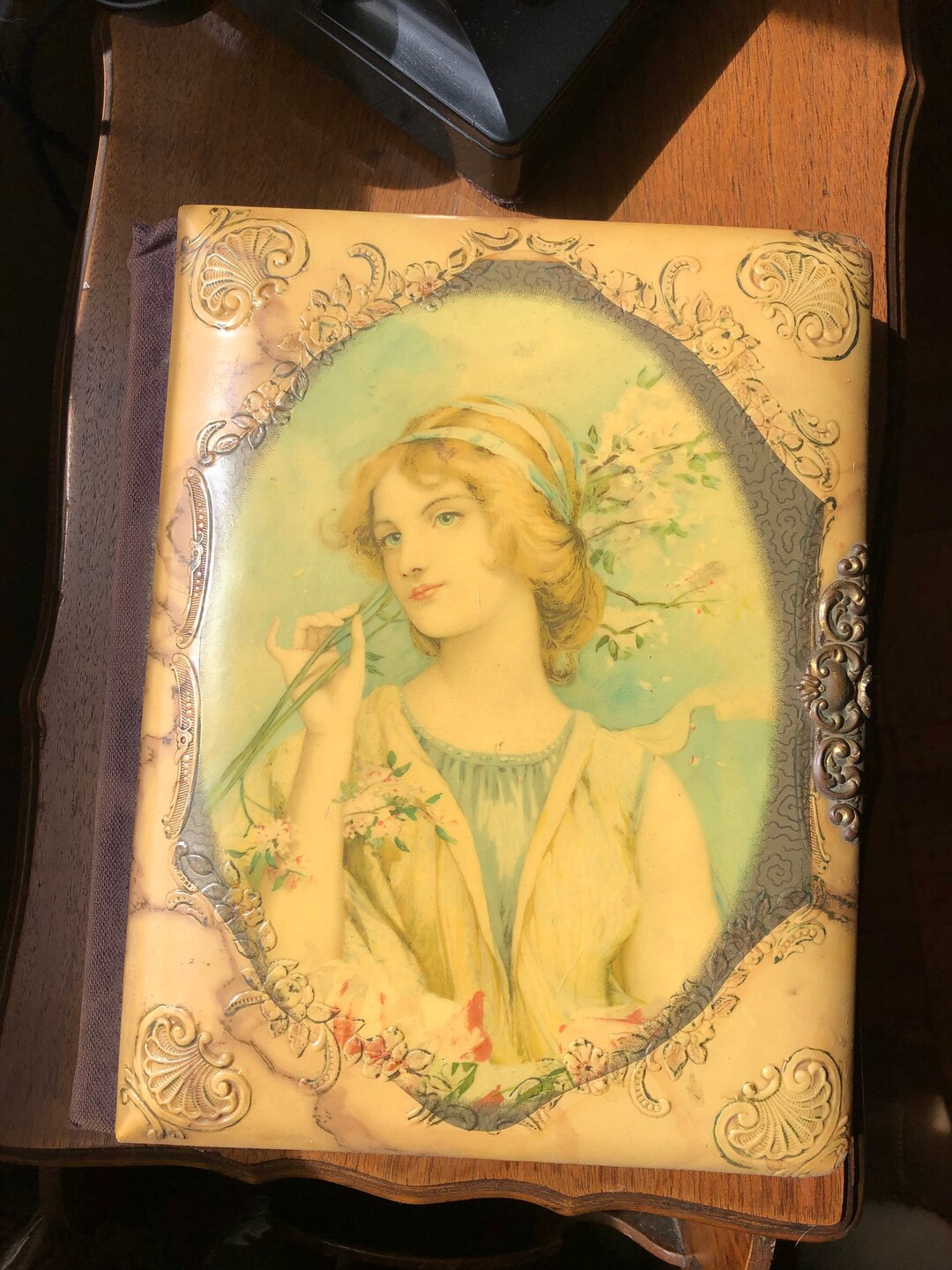 Beautiful Antique Celluloid Photo Album Etsy