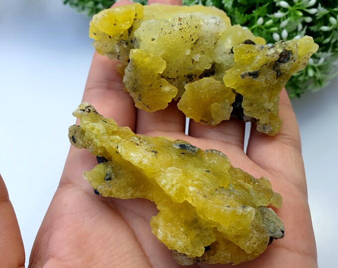 Brucite Yellow Specimens