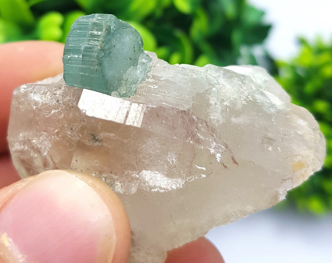 38 Grams Beautiful Paprok Bi Color Indicolite Tourmaline Crystal - Tourmaline Crystal - Tourmaline Specimen