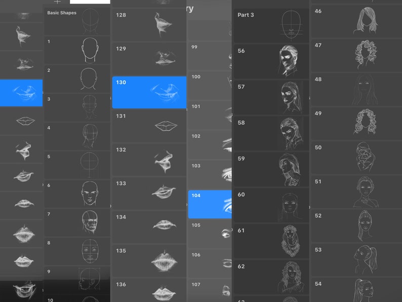 Procreate / Head Anatomy big Collection 140 references for Etsy