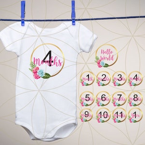 Baby Milestones SVG / hitos mensuales svg / Hello World SVG / PNG / Cricut / Silhouette