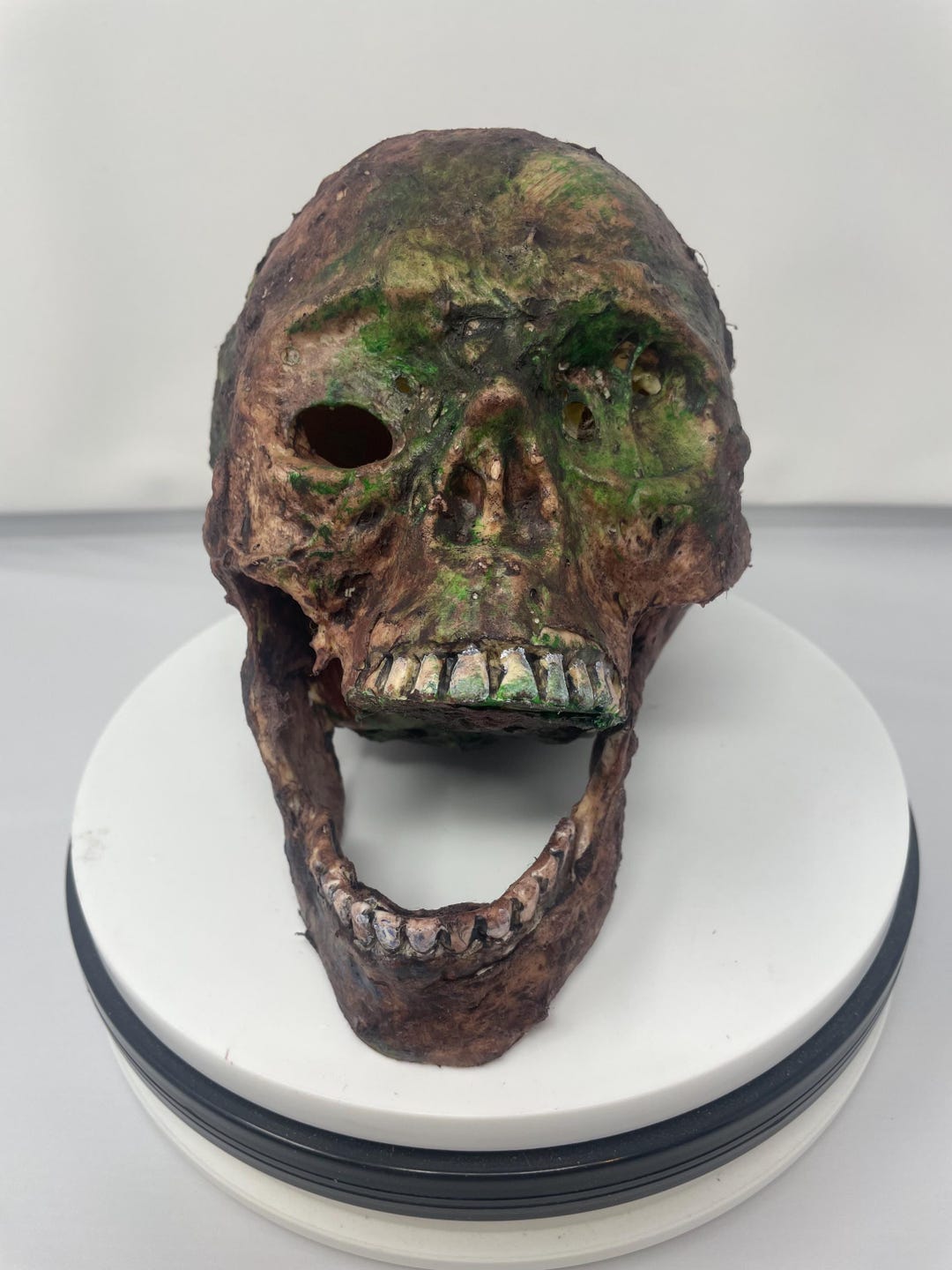 Decomposing Skull 