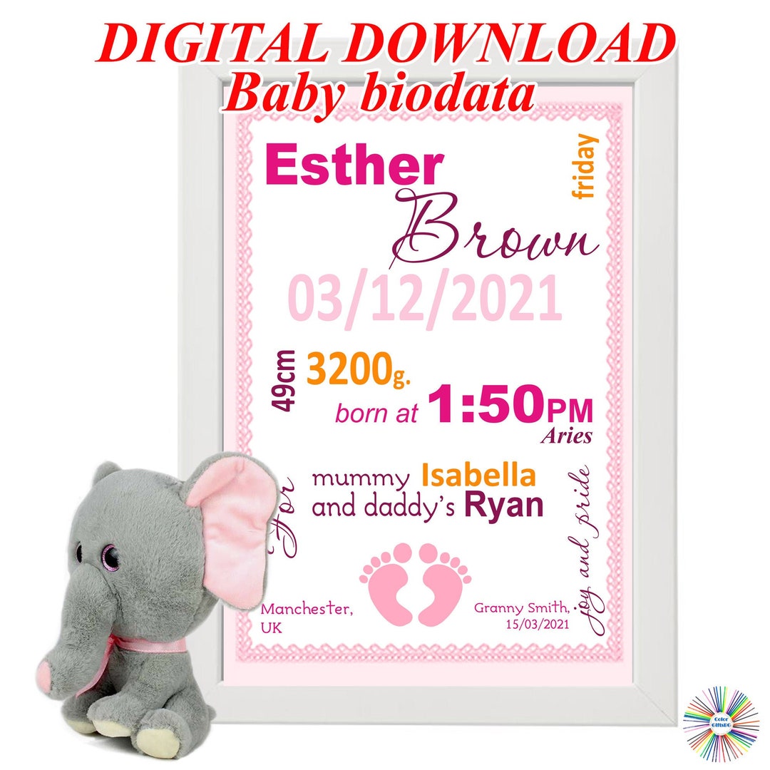 Digital Collage Baby Biodata, With Your Baby's Name, Date, Text, Gift ...