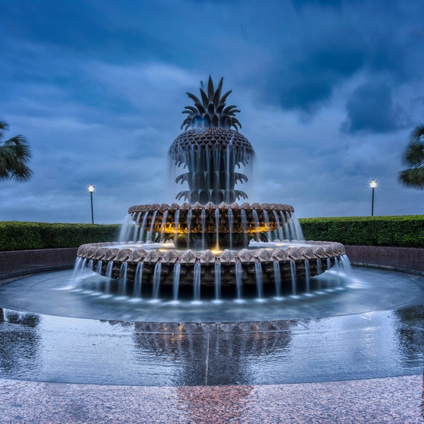 Pineapple Fountain Etsy