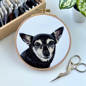 Aangepast borduurwerk huisdierportret: met de hand gestikt gedenkteken voor hond of kat