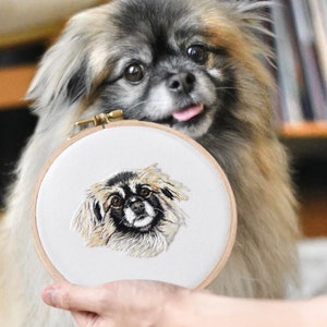 Aangepast borduurwerk huisdierportret: met de hand gestikt gedenkteken voor hond of kat