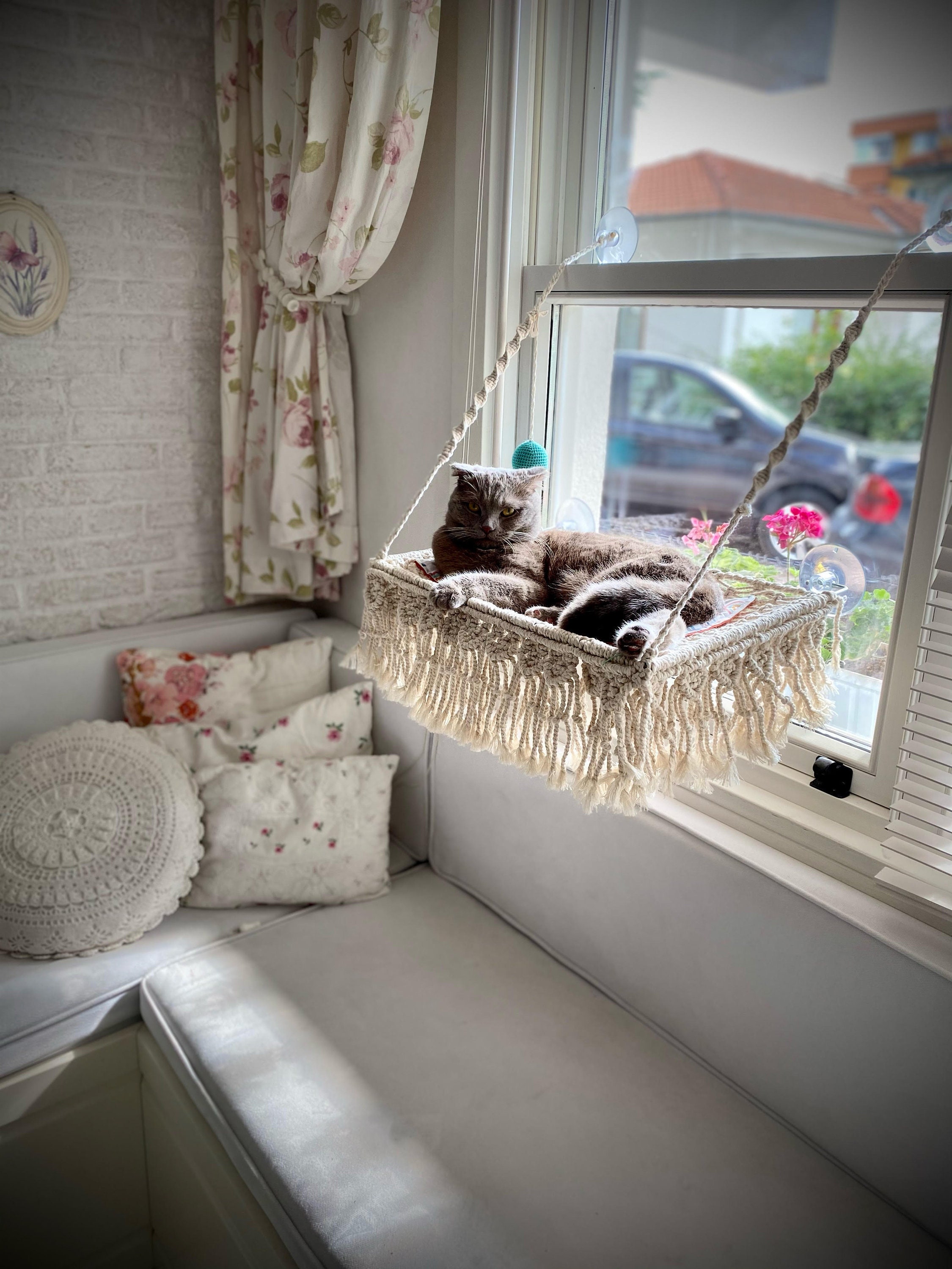 cat window perch canada