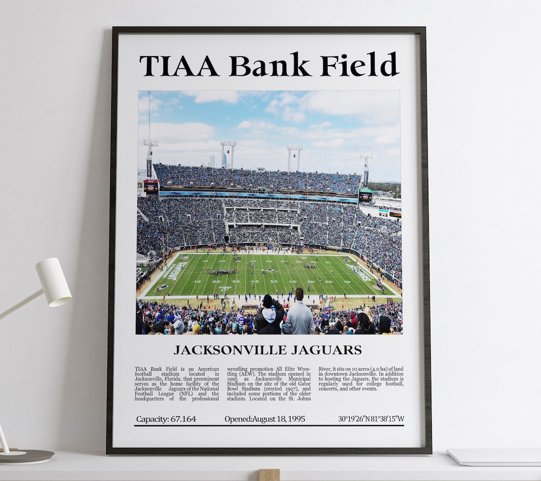 TIAA Bank Field Jacksonville Jaguars Black & White Stadium 