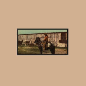 Vintage Photochrom USA – Arizona – Cowboy beim Lassowurf – Historischer Druck – Gerollt, auf Keilrahmen gespannt, gerahmt – Versandkostenfrei