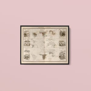 May include: A framed vintage-style print titled Zoological Geography, featuring a world map divided into sections with detailed monochrome illustrations of various animals and geographical regions, all set within a thin black rectangular frame.