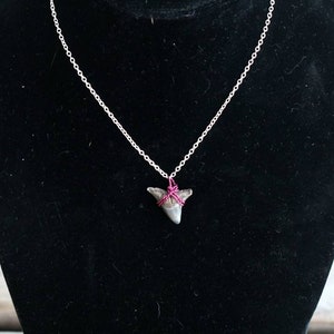 Fossilized Shark Tooth necklace pendant // minimalist necklace with chain // small fossilized shark tooth // wire wrapped pendant