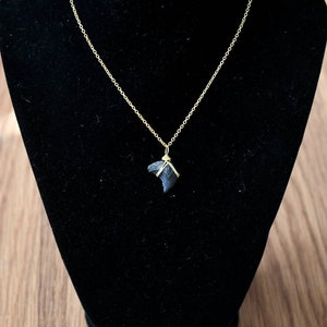 Fossilized Shark Tooth necklace pendant // minimalist necklace with chain // small fossilized shark tooth // wire wrapped pendant