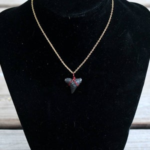 Fossilized Shark Tooth necklace pendant // minimalist necklace with chain // small fossilized shark tooth // wire wrapped pendant
