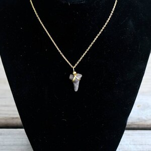 Fossilized Shark Tooth necklace pendant // minimalist necklace with chain // small fossilized shark tooth // wire wrapped pendant