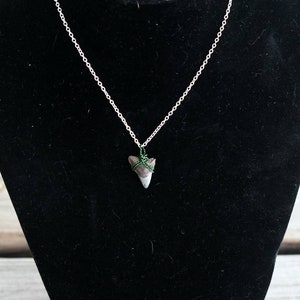 Fossilized Shark Tooth necklace pendant // minimalist necklace with chain // small fossilized shark tooth // wire wrapped pendant