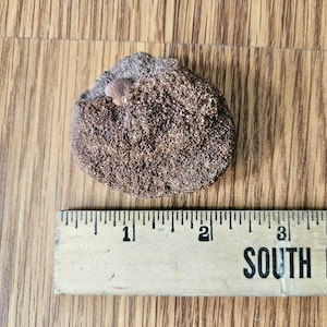 Raw small Sandstone mineral chunk // natural Sandstone  // warm toned Sandstone // home and office decor //collection piece