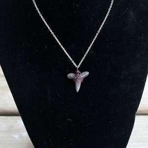 Fossilized Shark Tooth necklace pendant // minimalist necklace with chain // small fossilized shark tooth // wire wrapped pendant