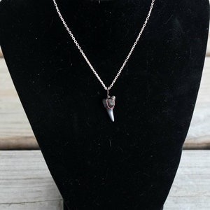 Fossilized Shark Tooth necklace pendant // minimalist necklace with chain // small fossilized shark tooth // wire wrapped pendant