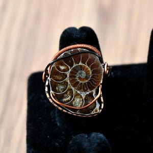 Ammonite ring // wire wrapped ring // minimalist ring // Ammonite wire wrapped ring // Size 8 ring // fossilized Ammonite ring