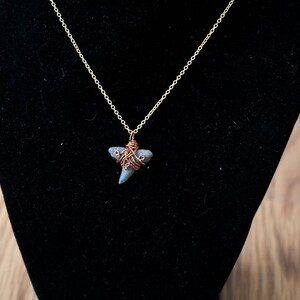 Fossilized Shark Tooth necklace pendant // minimalist necklace with chain // small fossilized shark tooth // wire wrapped pendant