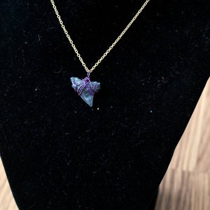 Fossilized Shark Tooth necklace pendant // minimalist necklace with chain // small fossilized shark tooth // wire wrapped pendant
