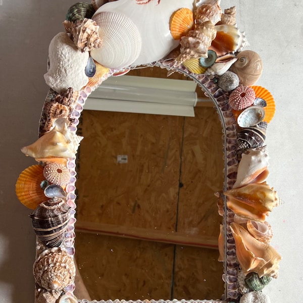 Arched sea shell mirror, mirror, wall mirror, arched, sea shells, unique art, sea shell art, one of a kind