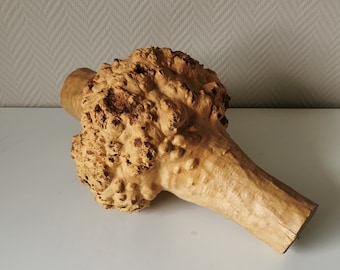 Premium Norwegian Birch Knots for Knife Handles - Dense & Durable Hardwood