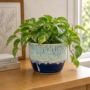 May include: A ceramic plant pot with a two-tone blue glaze, filled with a green and yellow pothos plant. The pot has a textured surface and a dripped glaze effect. The plant is on a wooden surface.