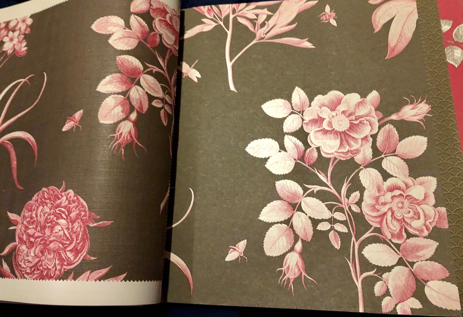 Sanderson Wallpapers Large Sample Book Parchment Flowers Etsy