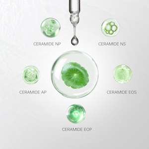 Nordbury Ceramide Serum 30ml | 5 Ceramides with Panthenol & Centella | Barrier Support Hydrating Face Serum - 30ml image 3