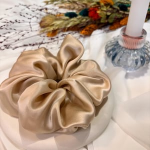 Maxi 22 Momme Mulberry Silk Scrunchie in Maxi