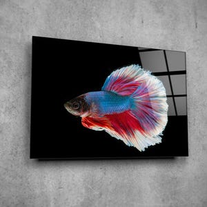 Neon Betta Fish Tempered Glass Wall Art: Modern Home Decor