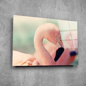 Flamingo Portrait Tempered Glass Wall Art: Modern Home Decor
