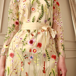 Long Sleeve Embroidered, floral Dress image 7