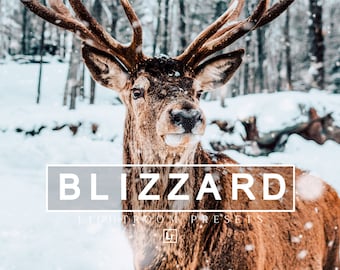 11 Lightroom mobile & desktop Winter Presets Blizzard