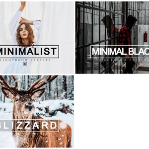 256 Lightroom Presets Ultimate Bundle mobile & desktop image 8