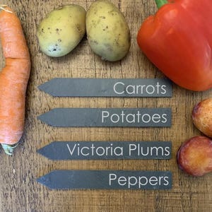 Può includere: Quattro segnalini da giardino in ardesia con testo bianco su una superficie in legno. I segnalini recitano "Carrots", "Potatoes", "Victoria Plums", e "Peppers".  Ci sono vari ortaggi e frutta sullo sfondo, tra cui carote, patate, peperoni rossi, prugne e un peperone rosso.