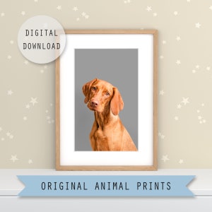 Instant Download Dachshund Illustration Nursery Animal Print Christmas Decor Nursery Decor Nursery Print Printable Art Digital Print
