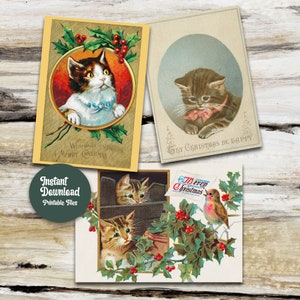 Victorian Cat Christmas Cards
