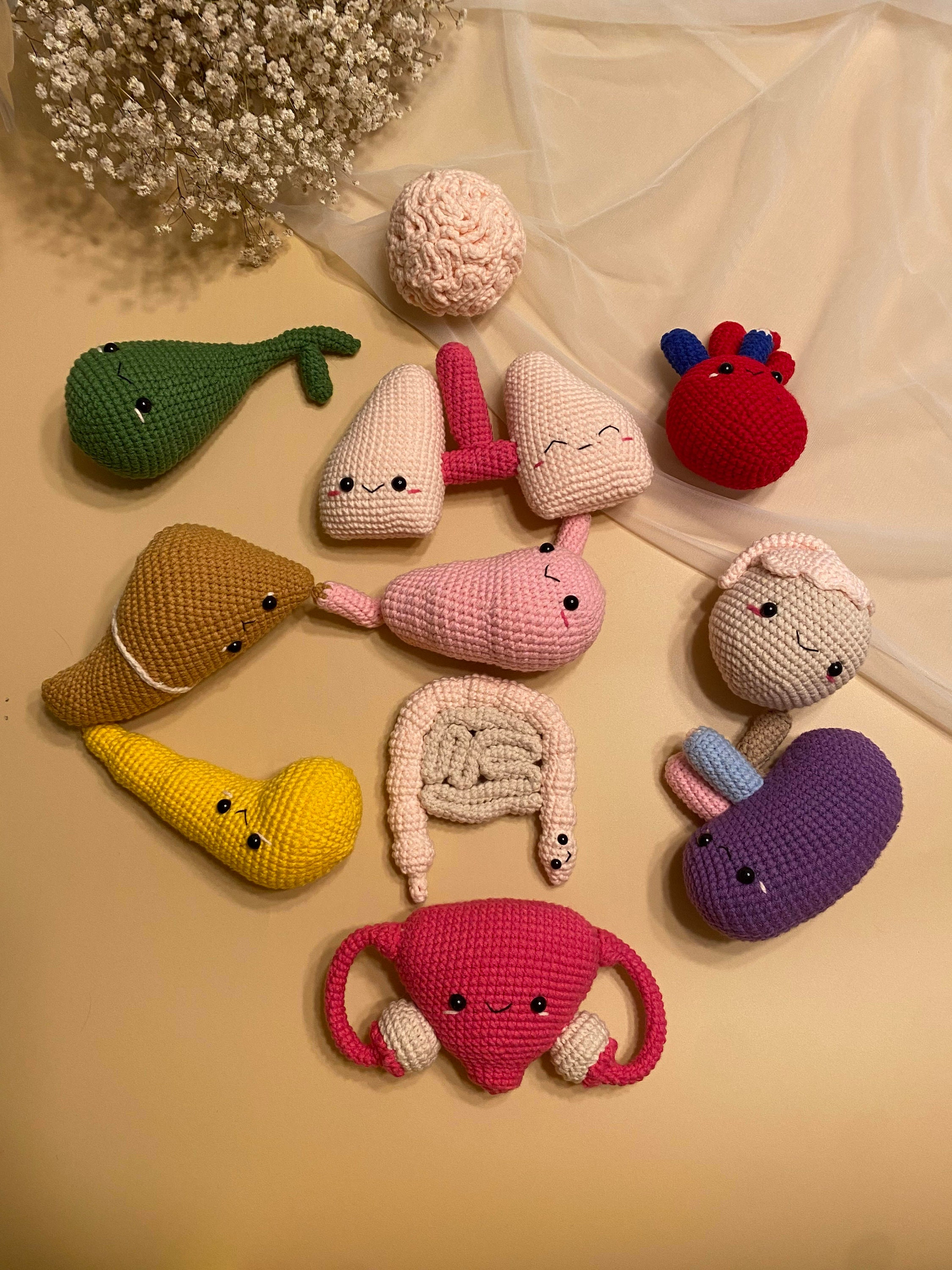 Crochet Human Organs Human Anatomical Organs Plushies Human Etsy