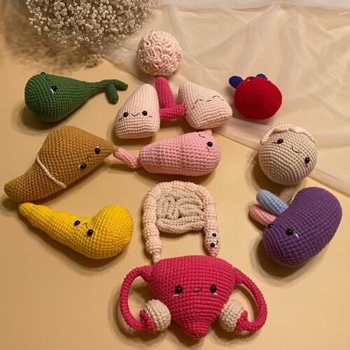 organ plush toys