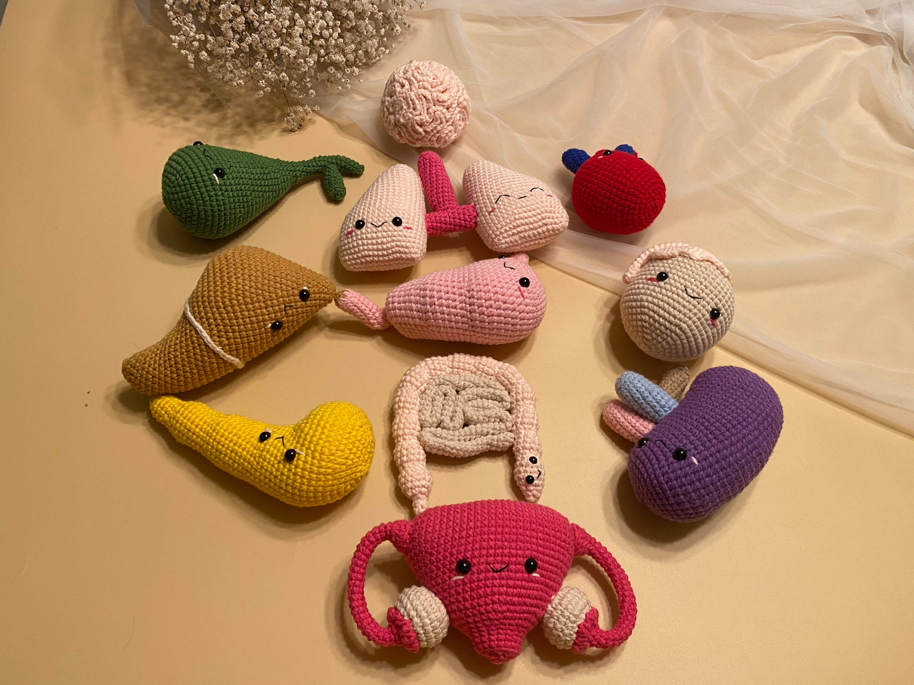 Crochet Human Organs Human Anatomical Organs Plushies Human Etsy UK