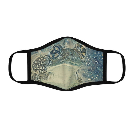 Filter Pocket Facemask- Cosmic Toad
