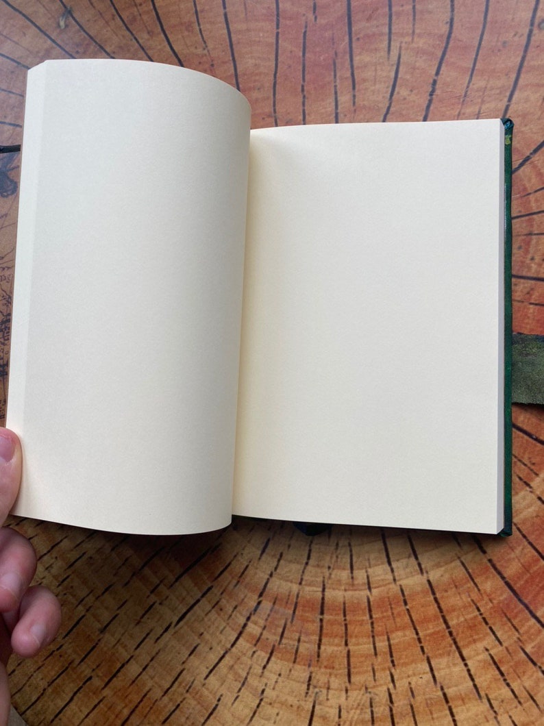 May include: An open journal with cream-colored pages. The journal has a green cover and a leather strap closure. The pages are blank, ready for writing or sketching. The journal is on a wooden surface.