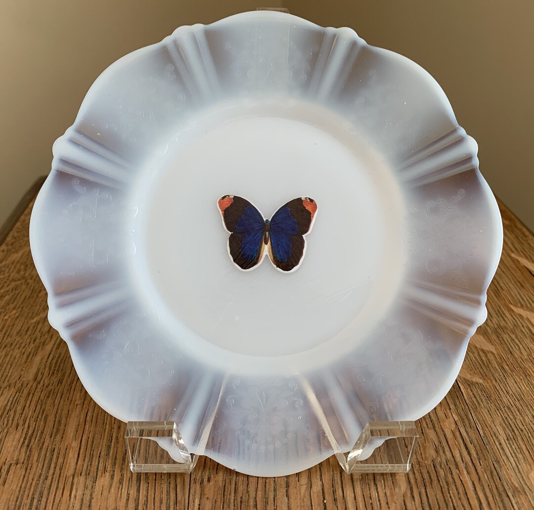 Vintage Collectible Plate With Butterfly Decoupage Etsy