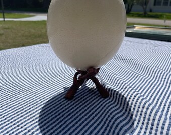 Authentic Hallowed Ostrich Egg On Wooden Display Stand