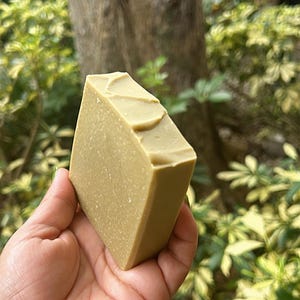Lorbeerbeeren aka Aleppo Seife